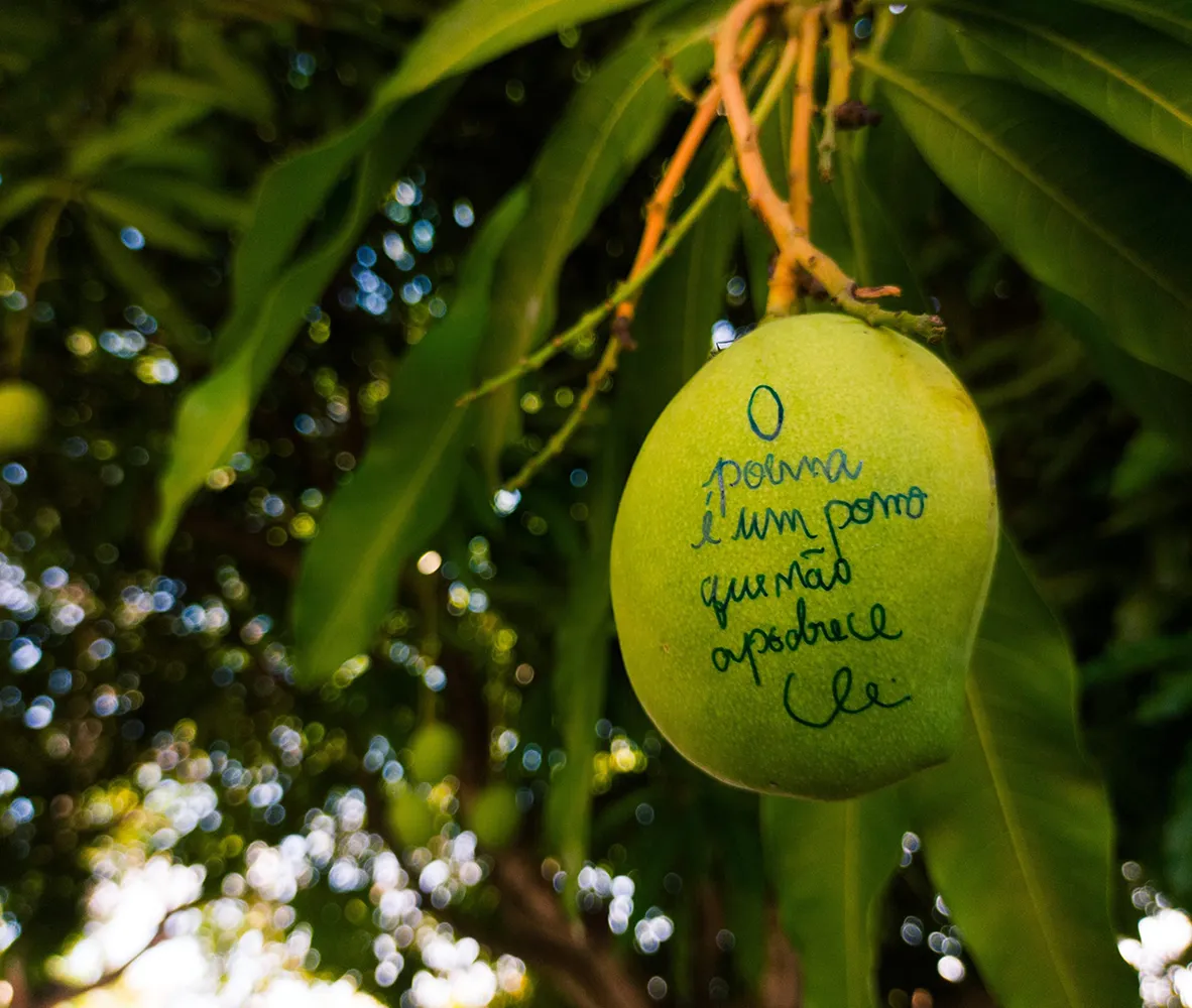 fotopoema-fruto.webp